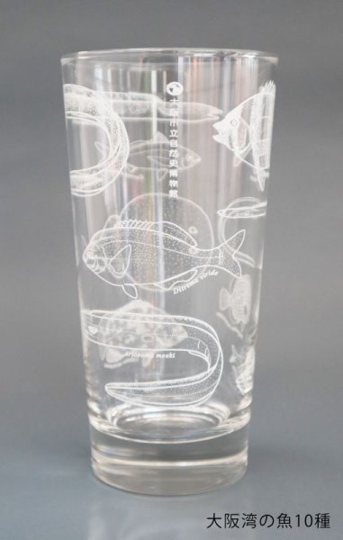 画像9: 「自然史のイラストレーション〜描いて伝える・描いて楽しむ〜」 ロングタンブラー (9)