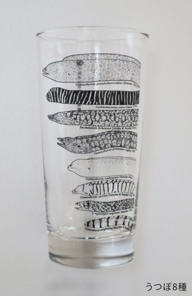 画像3: 「自然史のイラストレーション〜描いて伝える・描いて楽しむ〜」 ロングタンブラー (3)