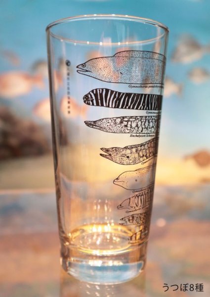 画像2: 「自然史のイラストレーション〜描いて伝える・描いて楽しむ〜」 ロングタンブラー (2)