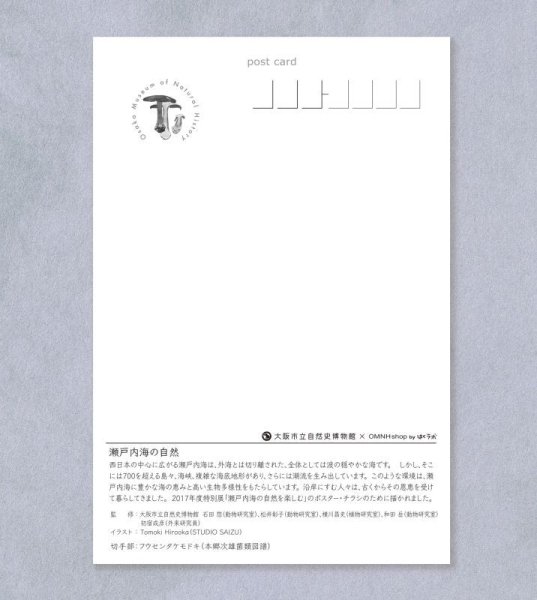画像2: 「自然史のイラストレーション〜描いて伝える・描いて楽しむ〜」 ポストカード「瀬戸内海の自然」 (2)
