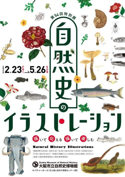 画像7: 「自然史のイラストレーション〜描いて伝える・描いて楽しむ〜」マスキングテープ (7)