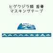 画像2: ヒゲクジラ類　舌骨　マスキングテープ (2)