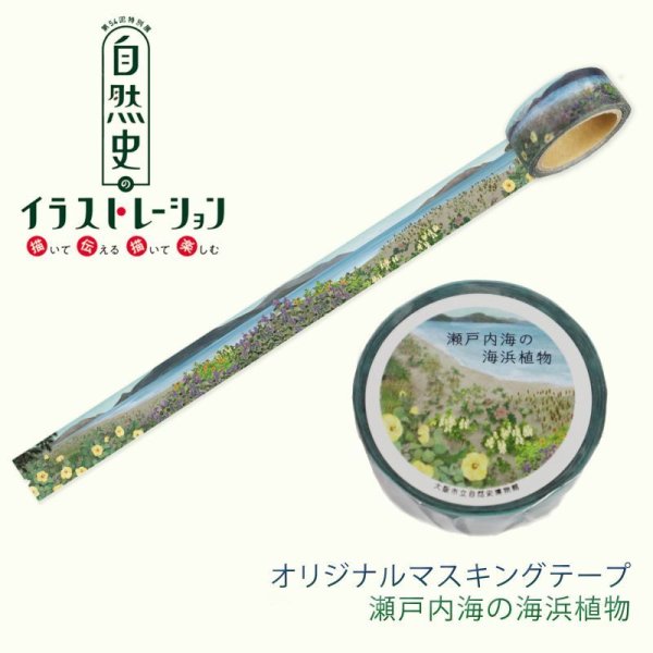 画像4: 「自然史のイラストレーション〜描いて伝える・描いて楽しむ〜」マスキングテープ (4)