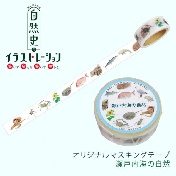 画像2: 「自然史のイラストレーション〜描いて伝える・描いて楽しむ〜」マスキングテープ (2)
