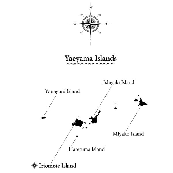 画像6: イリオモテヤマネコ B6リングノート (6)