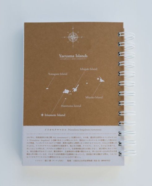 画像2: イリオモテヤマネコ B6リングノート (2)