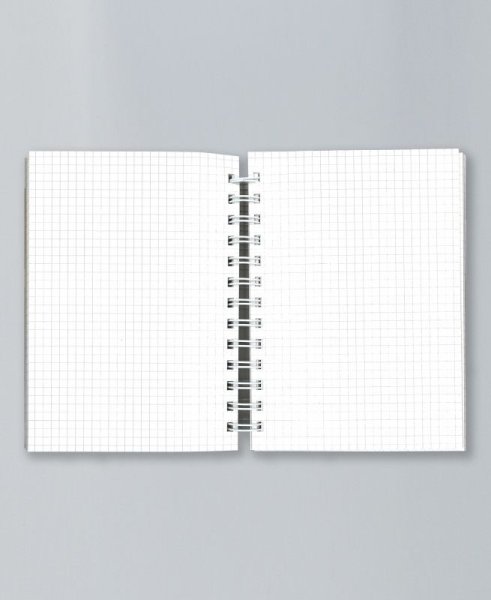 画像3: イリオモテヤマネコ B6リングノート (3)