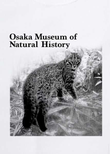 画像4: 【コラボグッズ】イリオモテヤマネコ写真Tシャツ・ネコ科スリーTシャツ (4)