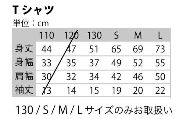 画像6: 【コラボグッズ】イリオモテヤマネコ写真Tシャツ・ネコ科スリーTシャツ (6)