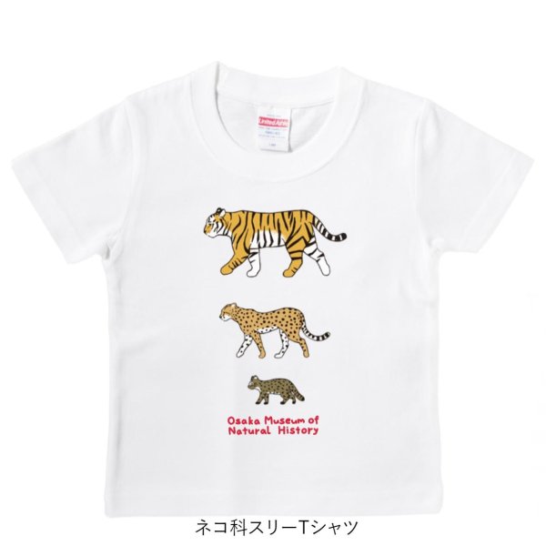 画像3: 【コラボグッズ】イリオモテヤマネコ写真Tシャツ・ネコ科スリーTシャツ (3)