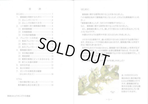 画像2: 顕微鏡でコケ観察 (2)