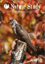 自然大博物館 中古本・書籍 | ブックオフ公式オンラインストア