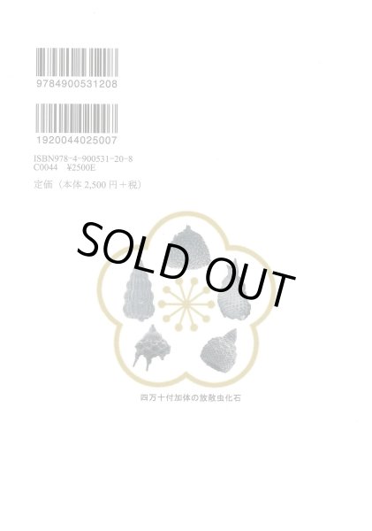 画像2: 紀の国 石ころ散歩 新訂版 -まるごとわかる 大地のなり立ち- (2)