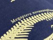 画像3: 【新版!】大阪湾クジラTシャツ (3)