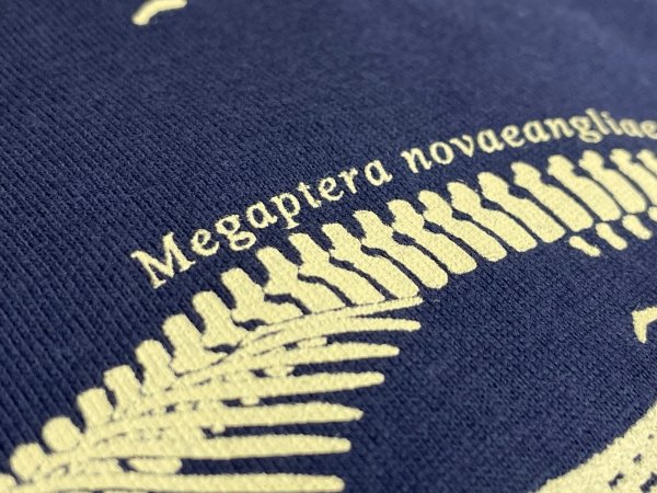 画像3: 【新版!】大阪湾クジラTシャツ (3)