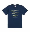 画像1: 【新版!】大阪湾クジラTシャツ (1)