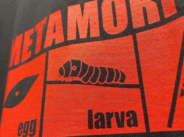 画像2: 【新作！】昆虫変態Tシャツ (2)