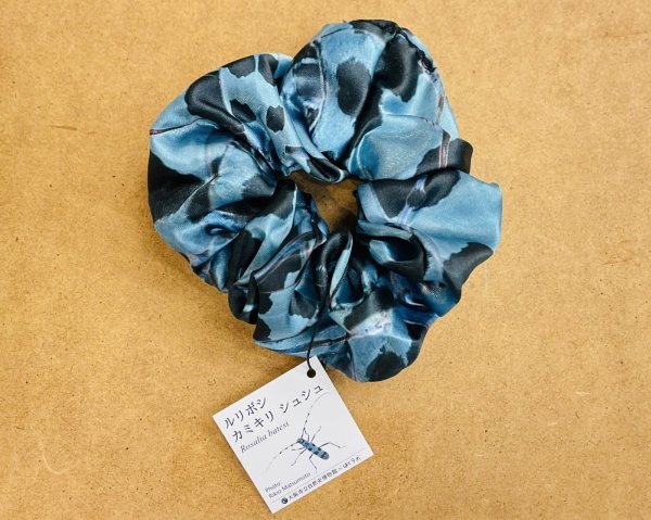 画像4: 虫シュシュ (4)