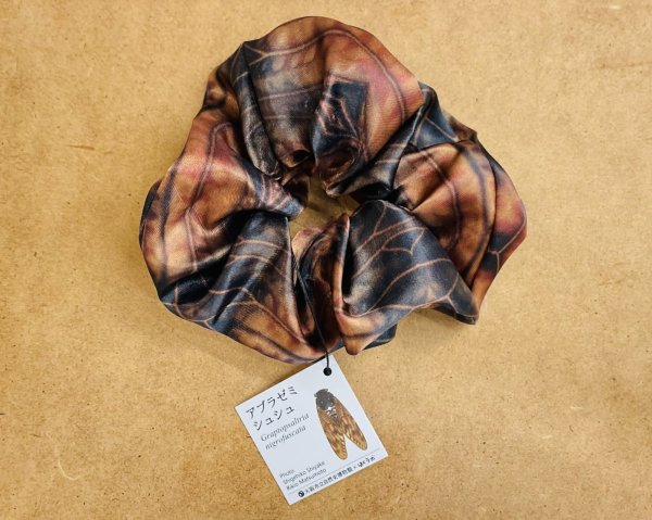 画像3: 虫シュシュ (3)