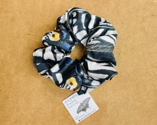 画像2: 虫シュシュ (2)