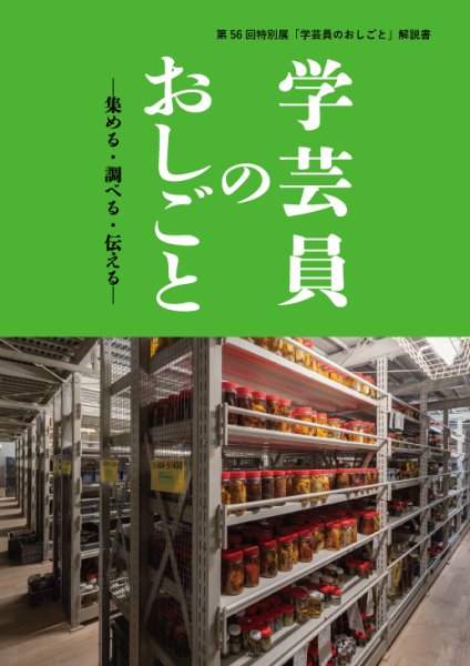 画像1: 学芸員のおしごと －集める・調べる・伝える－ (1)
