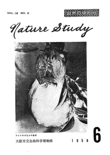 画像1: Nature Study [ 4巻 6号 ] (1)