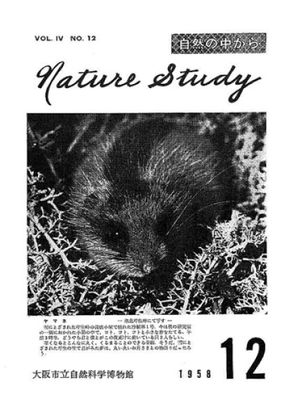 画像1: Nature Study [ 4巻 12号 ] (1)