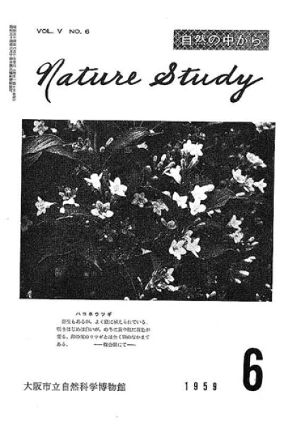 画像1: Nature Study [ 5巻 6号 ] (1)