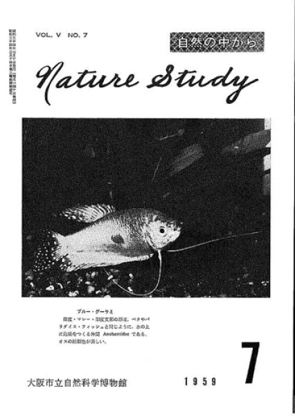 画像1: Nature Study [ 5巻 7号 ] (1)
