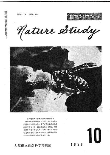 画像1: Nature Study [ 5巻 10号 ] (1)