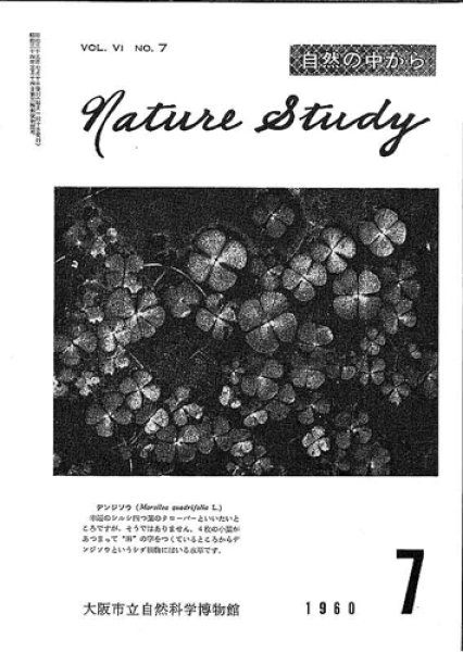 画像1: Nature Study [ 6巻 7号 ] (1)
