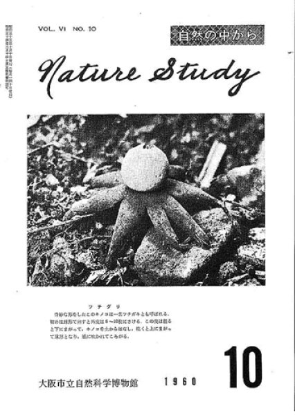 画像1: Nature Study [ 6巻 10号 ] (1)