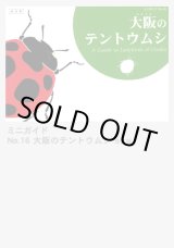 世界の蝶と甲虫－岡村宏一コレクション展－ - 大阪市立自然史