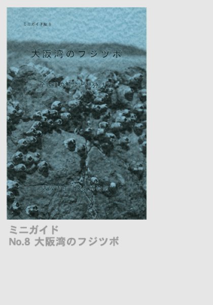 画像1: ミニガイドNo.8「大阪湾のフジツボ - 全14種の解説と見分け方 -」 (1)
