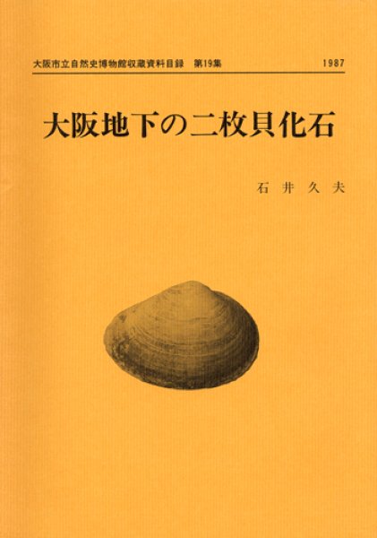 画像1: 大阪地下の二枚貝化石 / 収：第19集 (1)