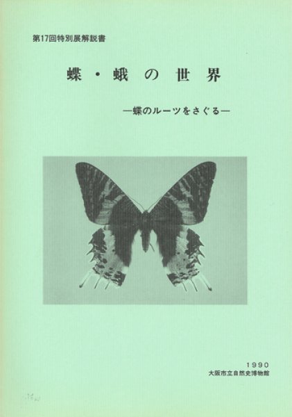 画像1: 蝶・蛾の世界－蝶のルーツをさぐる－ (1)