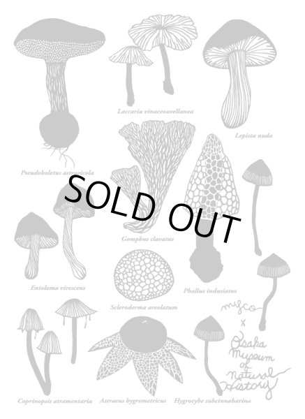 画像2: キノコの切り絵Ｔシャツ（4.7oz：やや薄手） (2)