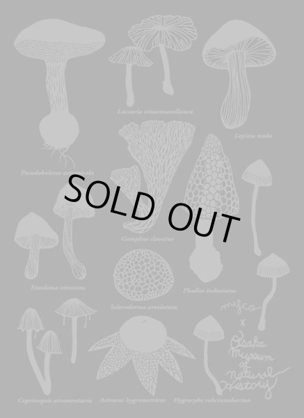 画像3: キノコの切り絵Ｔシャツ（4.7oz：やや薄手） (3)