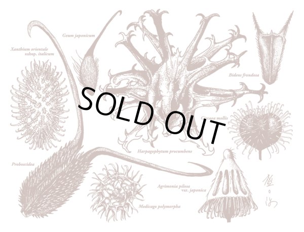 画像3: たねＴシャツ（ベージュ、ベビーピンク） (3)