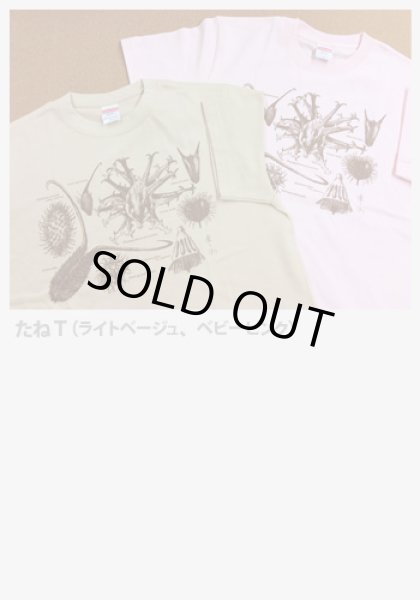 画像2: たねＴシャツ（ベージュ、ベビーピンク） (2)