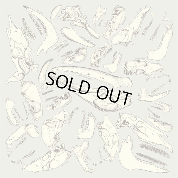 画像3: けものの歯バンダナ (3)