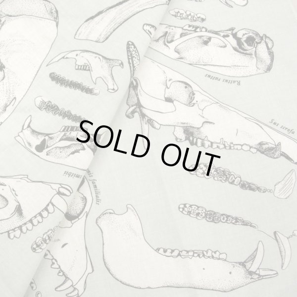画像2: けものの歯バンダナ (2)