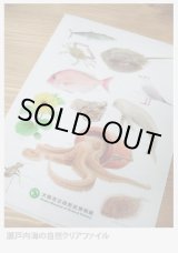 海の幸山の幸　自然に関する本 海の幸山の幸 自然に関する本 Amazon.co.jp: 海の幸山の幸