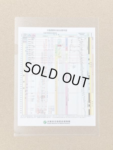画像2: 大阪層群の総合層序図クリアファイル (2)