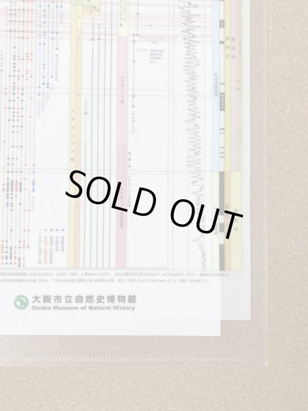 画像3: 大阪層群の総合層序図クリアファイル (3)