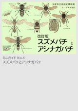 ハチ クリアファイル[改訂版] - 大阪市立自然史博物館友の会