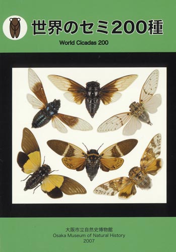 世界のセミ200種