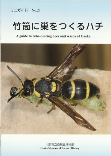 ミニガイドNo.21「竹筒に巣をつくるハチ」