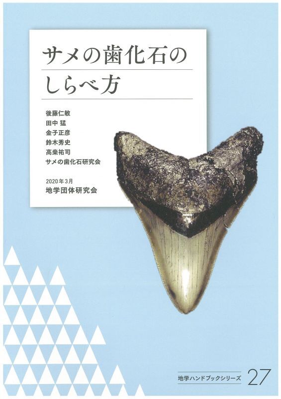 サメの歯 化石 通販
