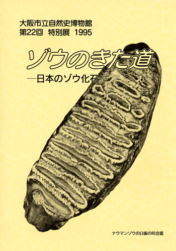 ゾウのきた道－日本のゾウ化石－
